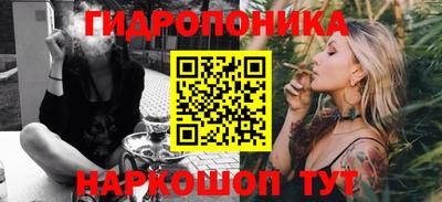 спиды Бийск