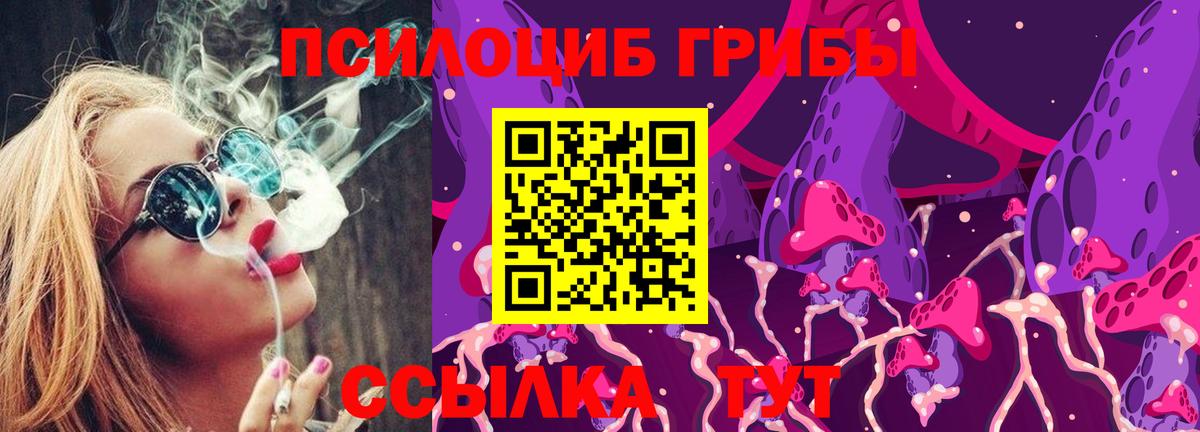 Галлюциногенные грибы ЛСД Губкинский