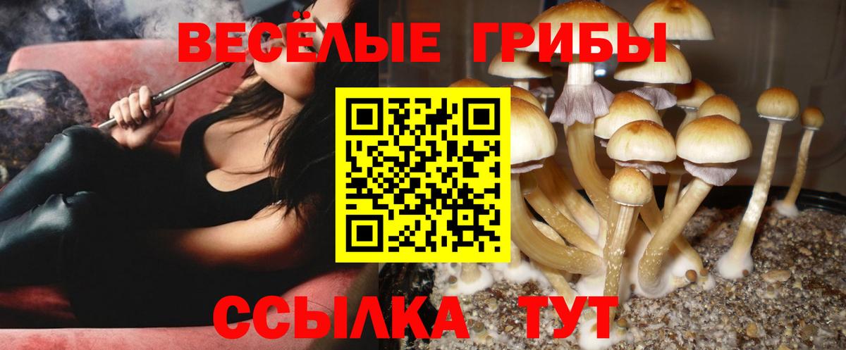 Меф мяу мяу Губкинский